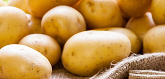 johann-koch-kartoffeln